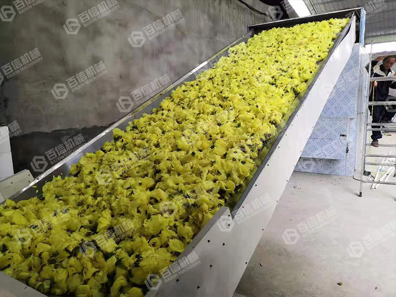 金花葵烘干機(jī)1